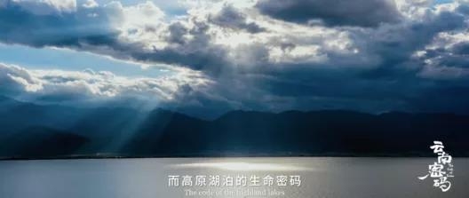 COP15云南宣传片发布！《云南密码》为您解密云南12.jpg