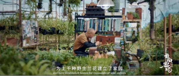 COP15云南宣传片发布！《云南密码》为您解密云南21.jpg