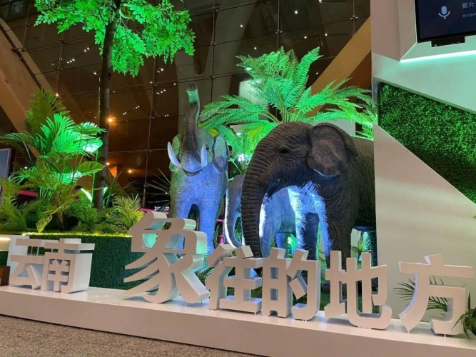 这样一个国际性会议，为何选择了彩云之南？