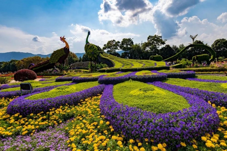 COP15第一阶段会议闭幕，世界、中国和云南收获了什么 (1).jpg