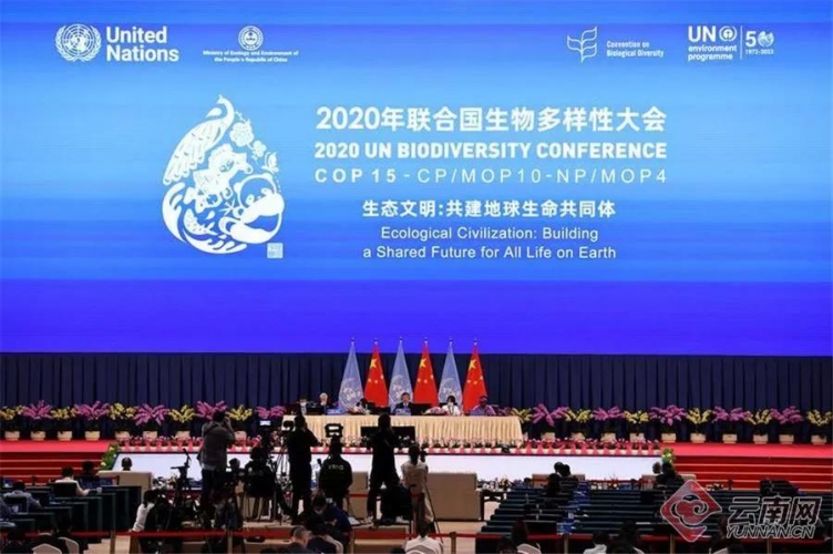 COP15第一阶段会议闭幕，世界、中国和云南收获了什么 (2).jpg