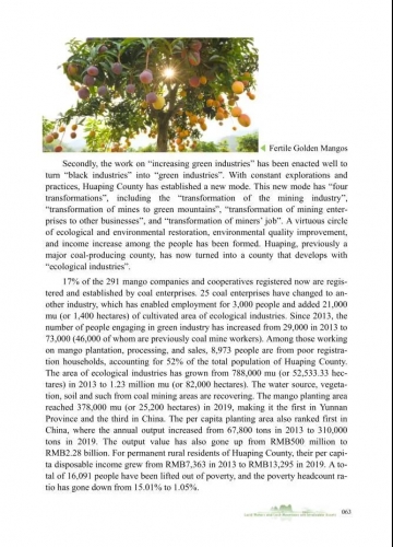 COP15生态文明论坛发布推广华坪县“绿水青山就是金山银山”实践模式与典型案例 (11).jpg