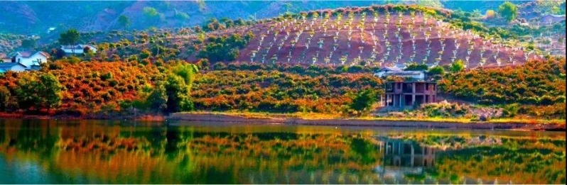 COP15生态文明论坛发布推广华坪县“绿水青山就是金山银山”实践模式与典型案例 (3).jpg