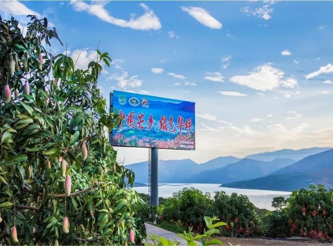 COP15生态文明论坛发布推广华坪县“绿水青山就是金山银山”实践模式与典型案例 (8).jpg