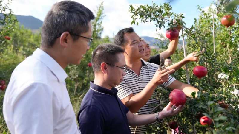 中央媒体、中国银行业协会、中国农业银行到永胜县调研采访 (1).jpg