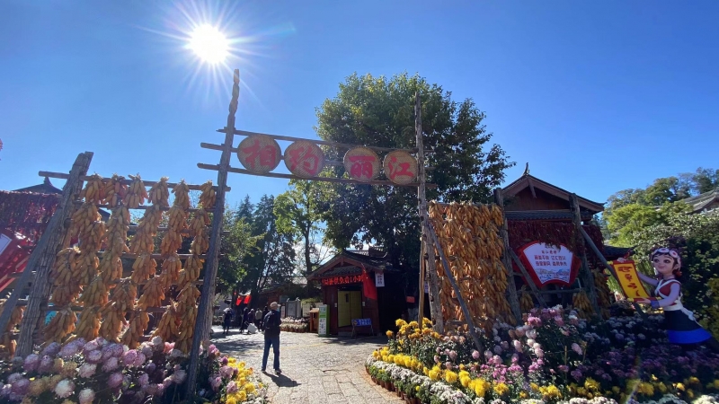 创意云南2021文化产业博览会丽江分会场今日启幕  快来古城逛展啦！ (2).jpg