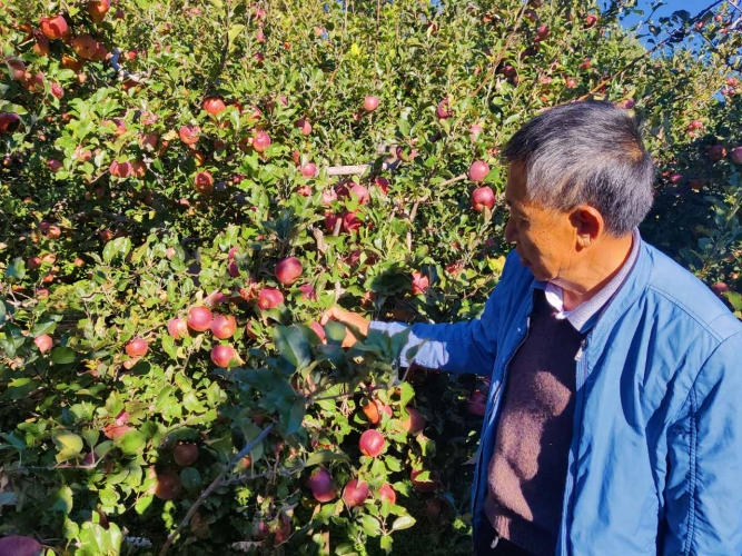 探寻水果多样性，丽江的“水果圈” (1).jpg