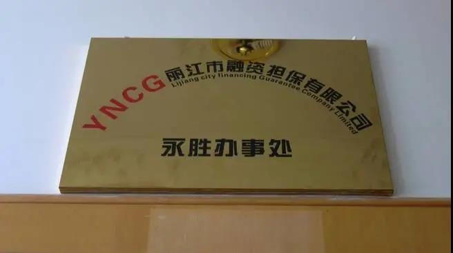 丽江市融资担保有限公司永胜办事处挂牌成立
