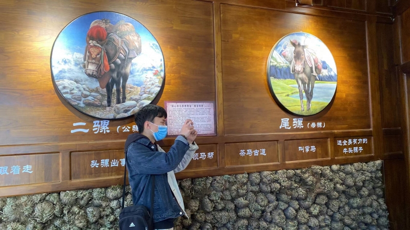 丽江古城又一博物馆开馆  在这里品味茶马古道的独有魅力 (6).jpg
