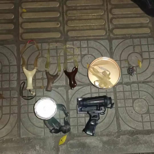 非法运输野生保护动物，抓！