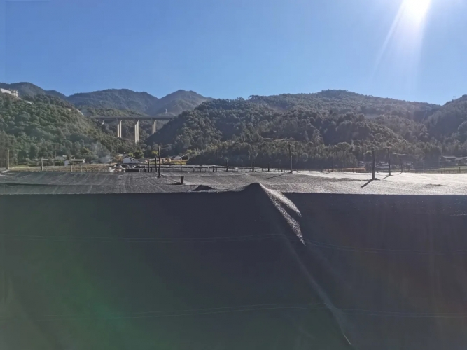 【绿色三张牌 张张都出彩】  永胜县：食用菌产业蓬勃发展