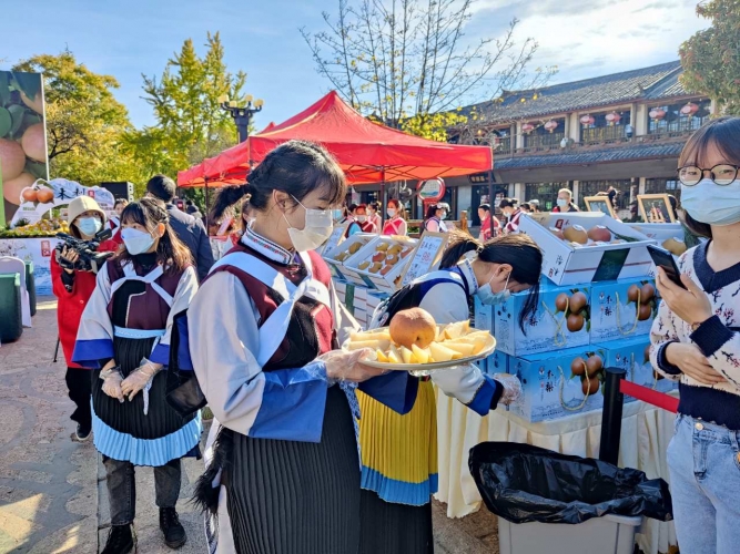 一场关于木梨音乐微电影，打造丽江高原特色产业名片助力乡村振兴 (2).jpg
