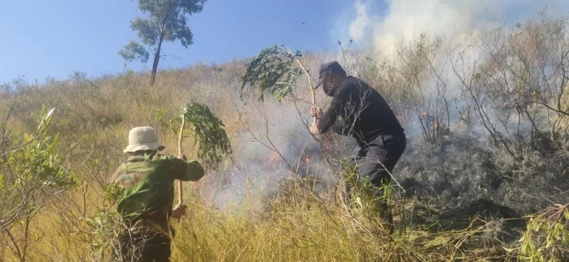 山林突发火情 民警全力扑救
