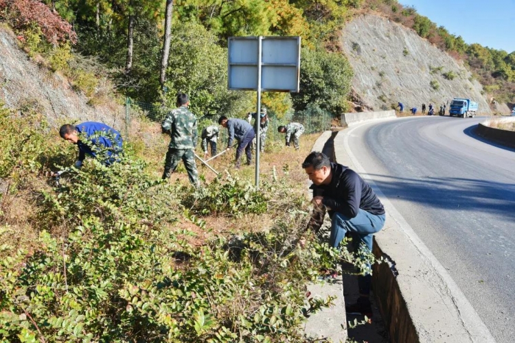 古城区大研街道清除杂草、杂物等环境整治，全力做好护林防火工作   