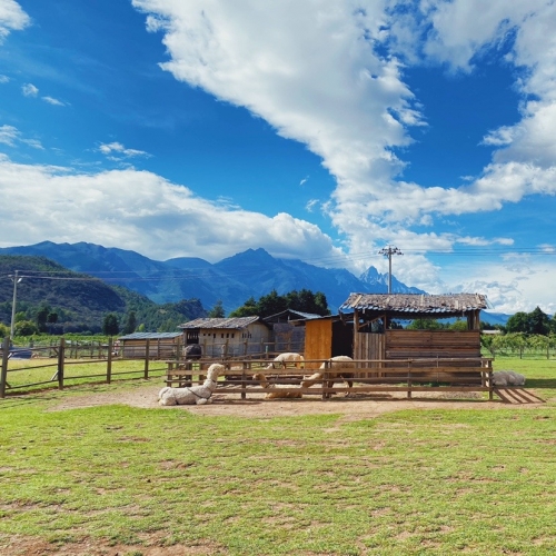 丽江，最令你无法割舍的是什么？