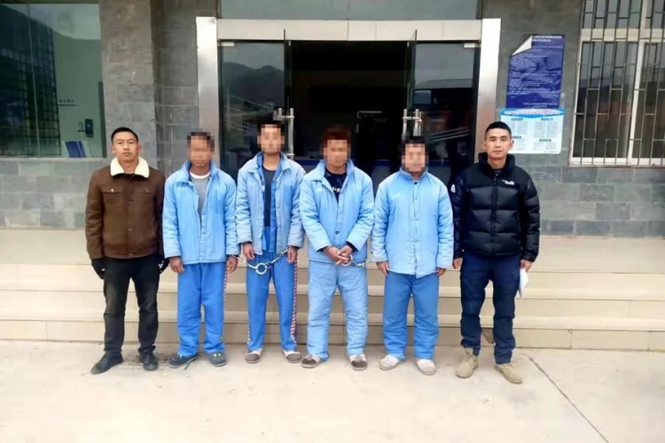 31头黄牛被盗！这4名“牛魔王”被宁蒗警方收了