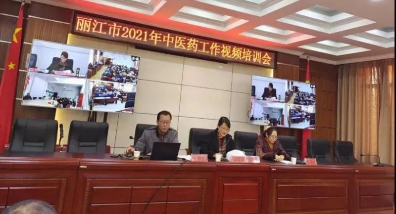 丽江市卫生健康委组织召开中医药工作视频培训会议