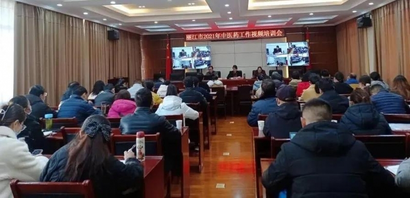 丽江市卫生健康委组织召开中医药工作视频培训会议
