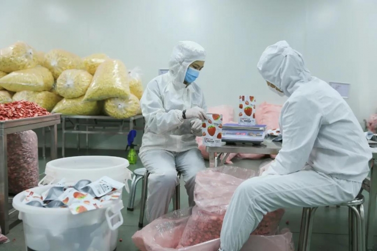 华坪真空冻干食品远销欧洲！