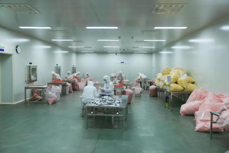 华坪真空冻干食品远销欧洲！