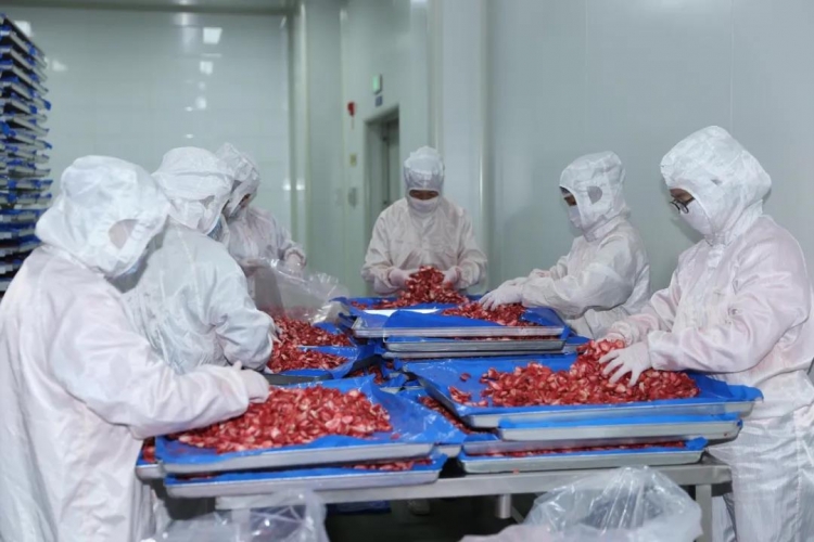 华坪真空冻干食品远销欧洲！