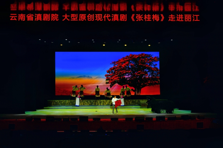 原创大型现代滇剧《张桂梅》在丽江市委党校上演8.jpg