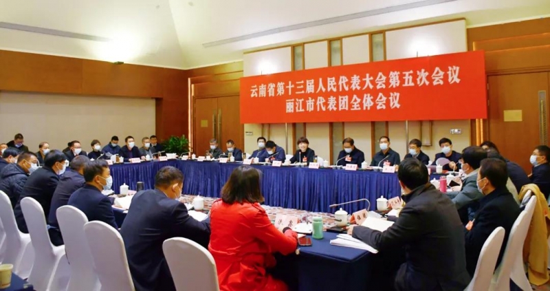 丽江市代表团继续审议省政府工作报告、审查计划报告和财政报告.jpg