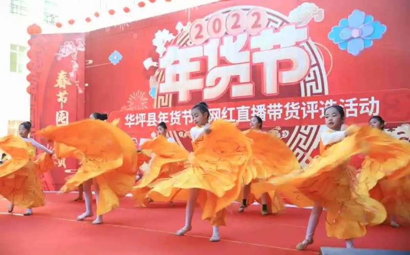 华坪县开展线上年货节暨网红直播带货活动