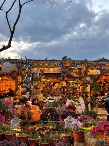 市侨联新春走访送温暖  樱花屋金表示坚持营业 旅游的春天一定会到来 (1).jpg