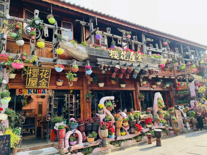 市侨联新春走访送温暖  樱花屋金表示坚持营业 旅游的春天一定会到来 (6).jpg