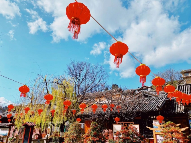 丽江古城近4万盆鲜花迎新春 (1).jpg