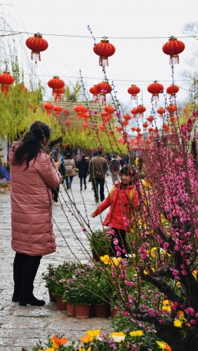 春节假日，丽江共接待游客72.53万人次，旅游收入6.09亿元