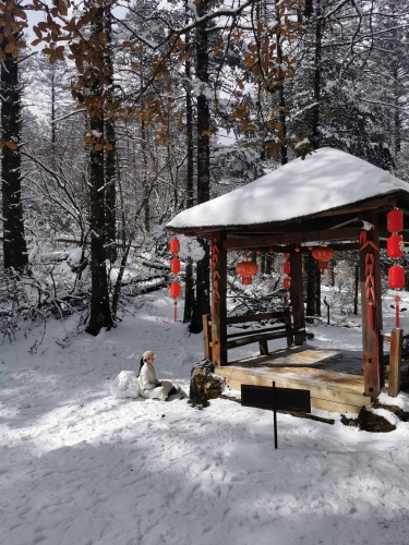 春节假日，玉龙雪山景区共接待游客5.36万人