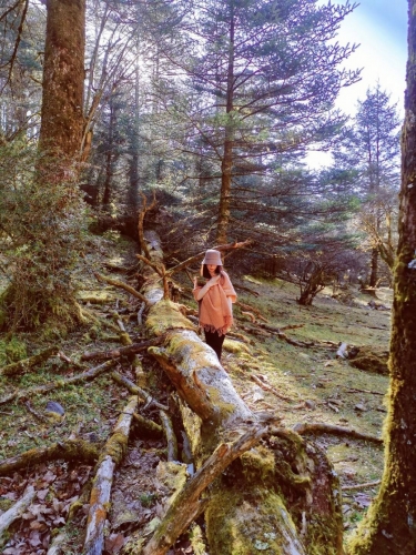 擅自进入丽江未开发旅游区域被困者，救援费用需自行承担