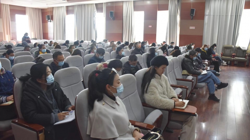 丽江市文化和旅游局召开党史学习教育总结大会