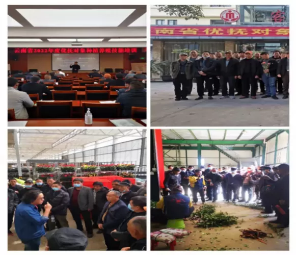 永胜县退役军人事务局组织重点优抚对象参加种养殖技能培训