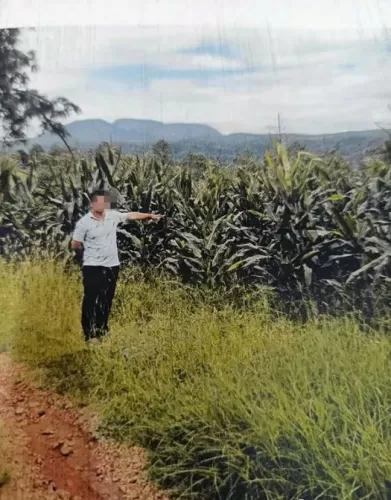 擅自改变林地用途，即使是自家用地也要被罚！