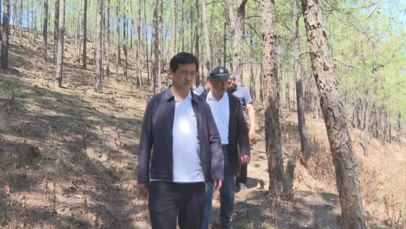 华坪县长和振到永兴乡船房乡调研