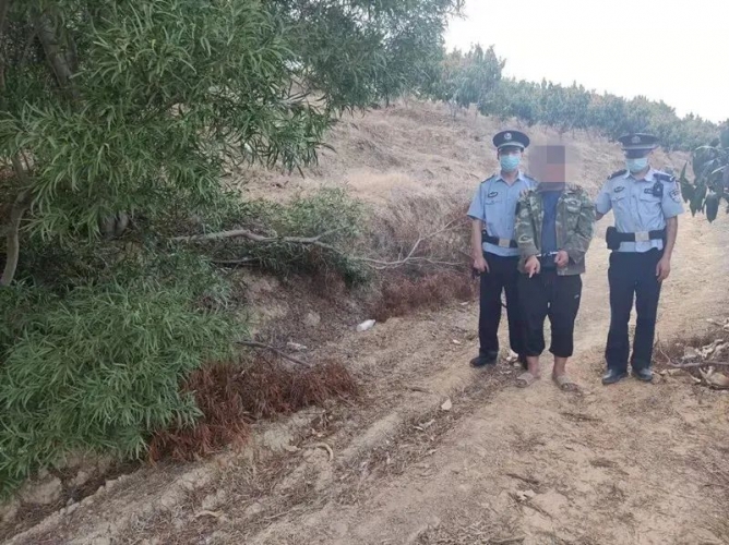 挣钱不走正道，华坪一男子偷盗他人牲畜被抓获