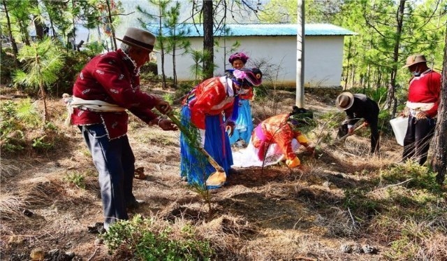 非遗传承——留存传统 美丽乡村