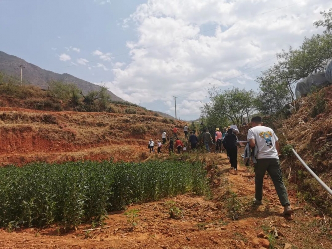永胜县鲁地拉镇开展动态监测帮扶大遍访实地演练提升遍访业务能力