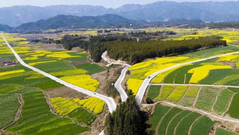 共计27.7亿！云南下达两笔资金助力“三农”工作