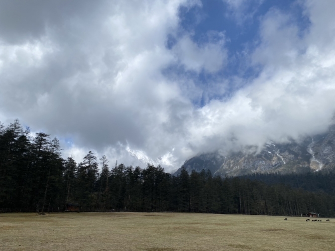 【春暖花开丽江欢迎您】春天的玉龙雪山处处是惊喜