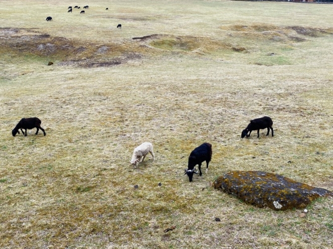 【春暖花开丽江欢迎您】春天的玉龙雪山处处是惊喜