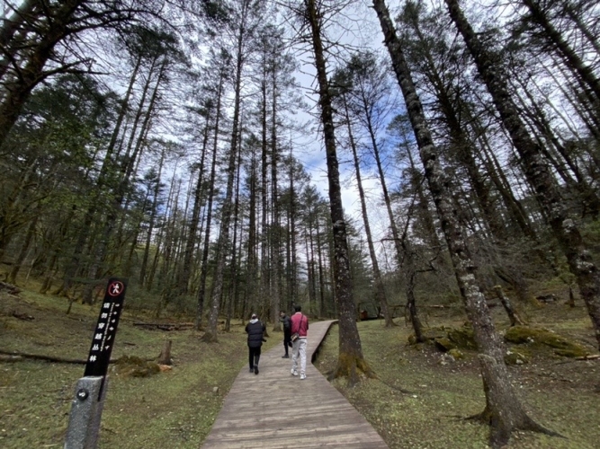 【春暖花开丽江欢迎您】春天的玉龙雪山处处是惊喜