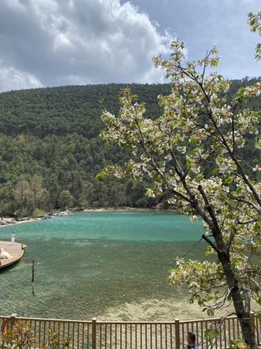 【春暖花开丽江欢迎您】春天的玉龙雪山处处是惊喜