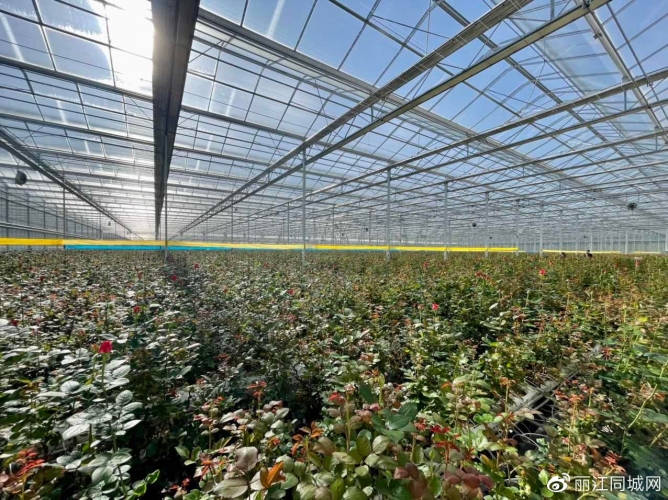 【春暖花开丽江欢迎您】大美永胜，诗画三川！ (2).jpg