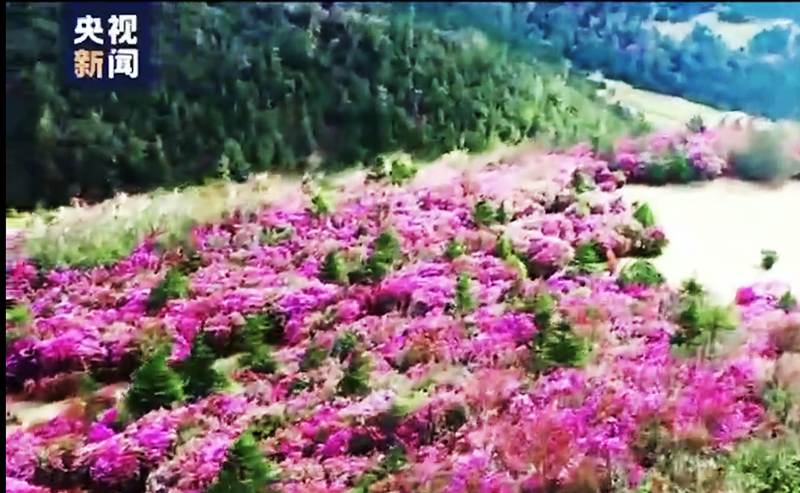 精准疫情防控 理性安心游 丽江“五一”无限精彩