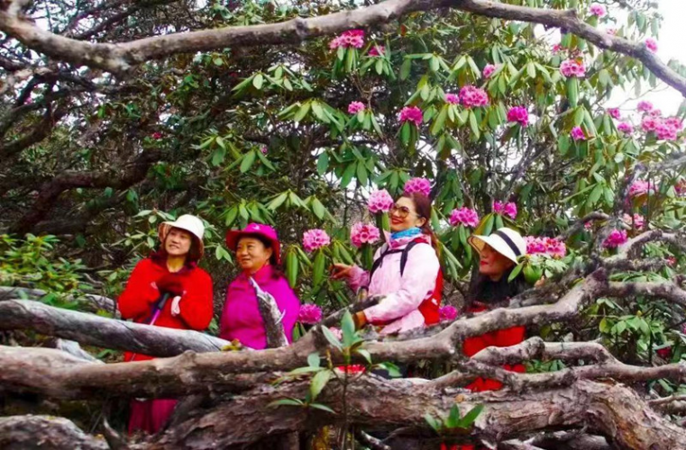 精准疫情防控 理性安心游 丽江“五一”无限精彩