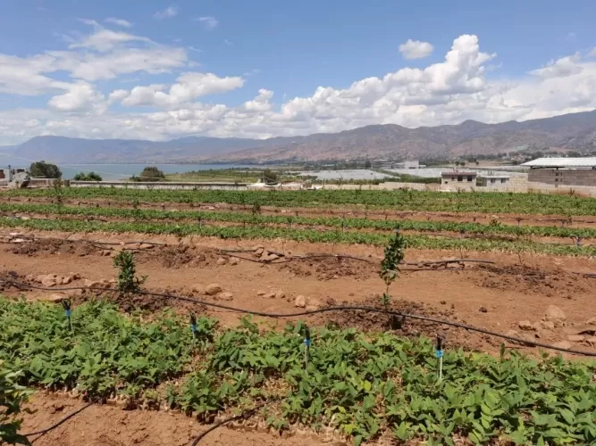 永胜县发改局积极作为推进全县二季度固定资产投资目标任务完成
